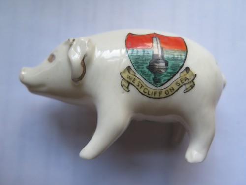 Crested pig from westcliff - crested,