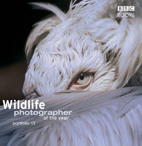 Wildlife photographer the - wildlife,