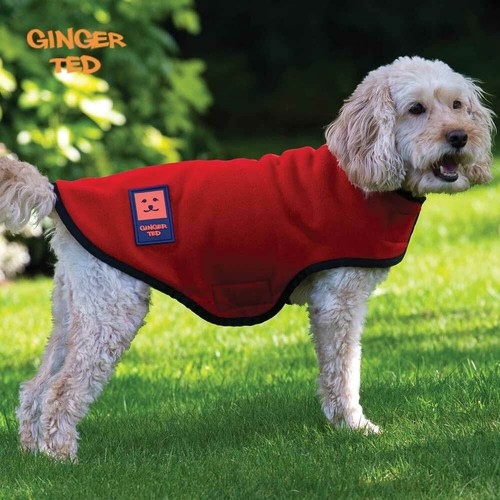 Ginger ted warm - ginger,