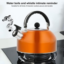 Stylish Whistling Tea Kettle