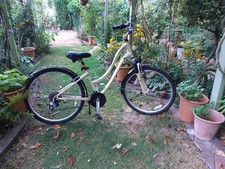 Schwinn Beige Women's Bike