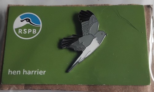 Rspb pin badge hen - pin,