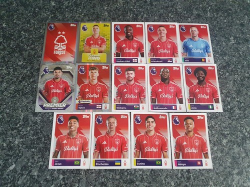 Topps premier league stickers - topps,