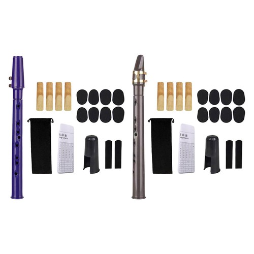 Pocket saxophone portable - pocket,