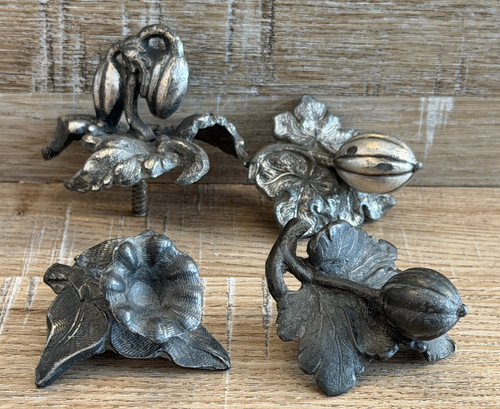 Art nouveau botanical - ,