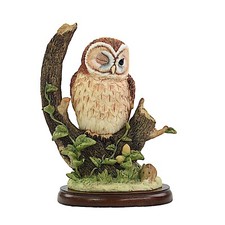 Border Fine Arts, Tawny Owl, A27053