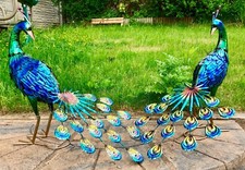 Exotic Blue Peacock Bird Decorative Garden Sculpture Statue Ornament Large 64cm 