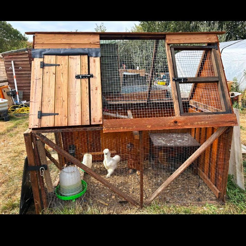 Wooden chicken coop - chicken, house