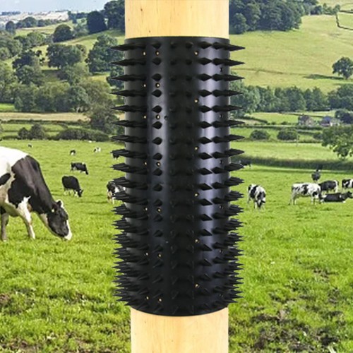 Equine bovine massage - equine,