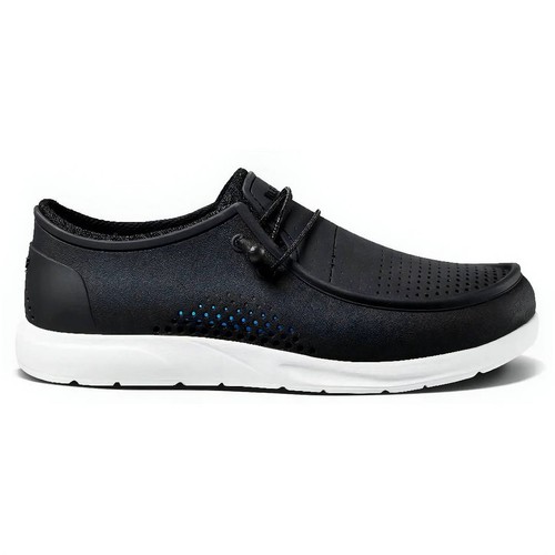 Reef water coast - reef,