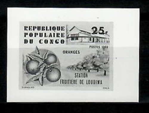 Photo essay congo sc569 - congo,
