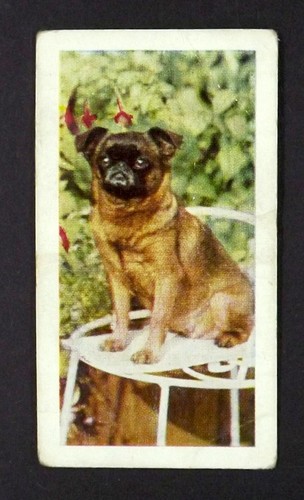 Card hornimans tea - x,