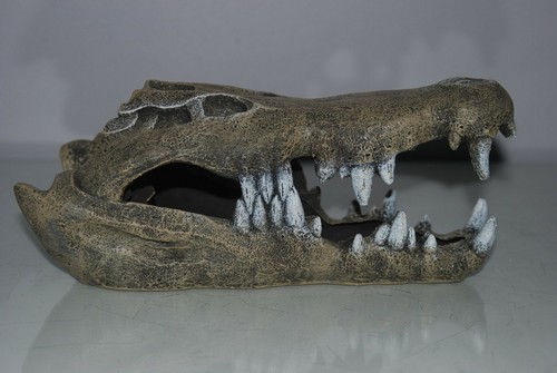 Aquarium vivarium detailed - or,