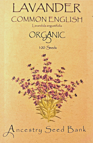 Organic lavender common - organic, ❁