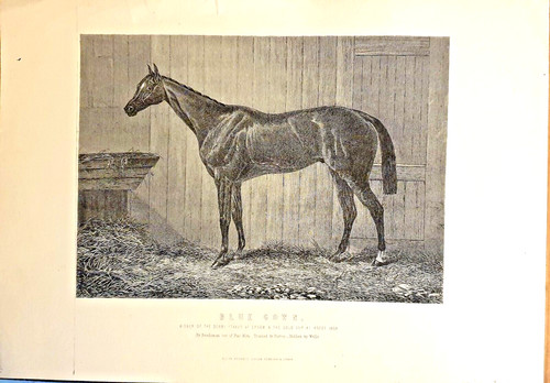 Blue gown 1868 epsom derby - blue,