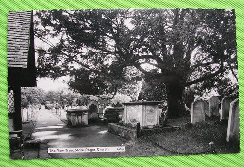 Free postage rppc - free, .