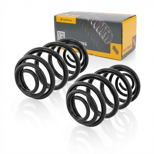 Coil spring rear right - spring, right=left
