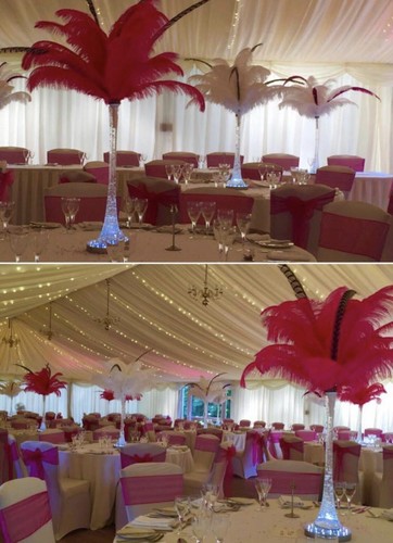 Ostrich feather centrepieces - ostrich,
