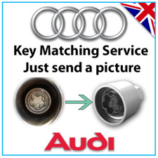 for Audi Security Master