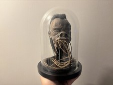 Oddities Curiosities Cabinet