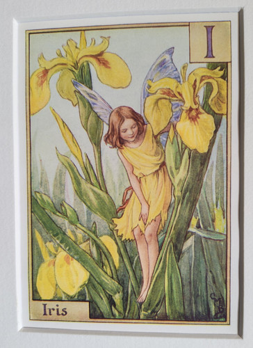 Vintage flower fairies print - flower,