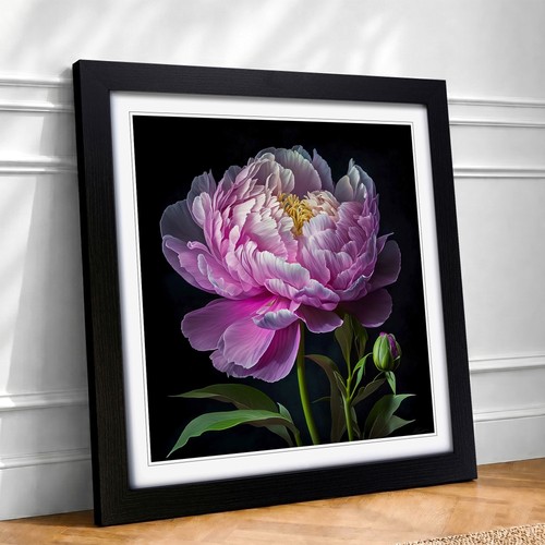 Peony flower floral framed - peony,