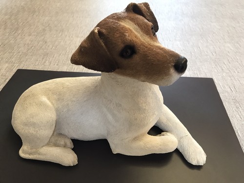 Sandicast jack russell terrier - jack,