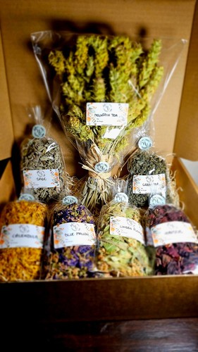 Herbal loose tea - tea, selection