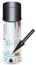 Direct Gloss Aerosol Paint Spray For Nissan Micra No Lacquer Required