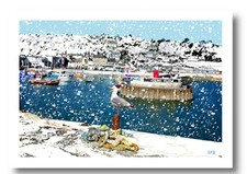 LYME REGIS CHRISTMAS CARD