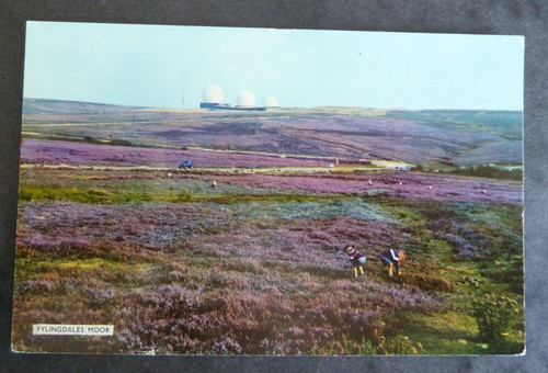 Fylingdales moor dennis - fylingdales, moor.