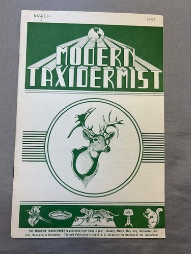 Vintage modern taxidermist - vintage,