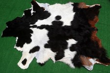 New goat hide - goat, on
