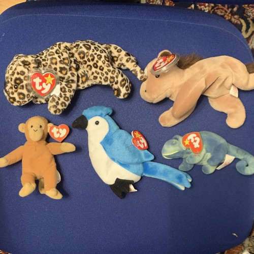 Beanie babies animals - ty,