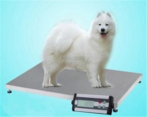 150 vet veterinary animal - kg,