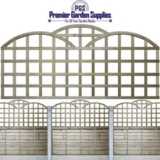 6ft x 2ft Triple-Dome Standard