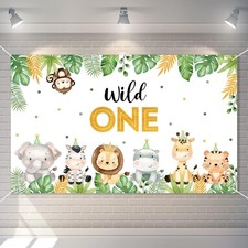 Wild One Birthday Decorations