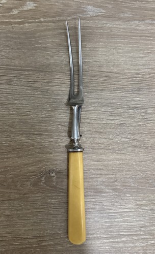 Ant civil war era bone - ant,