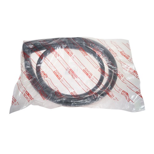 New windshield weatherstrip - windshield,