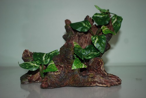 Vivarium detailed trunk - vivarium, root