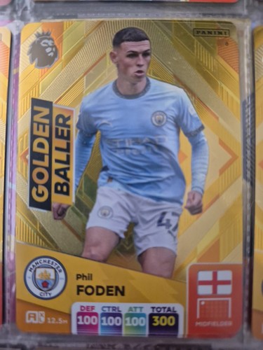 Panini adrenalyn premier - adrenalyn,