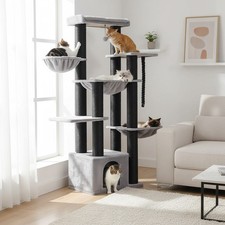Maine Coon Cat Tower with