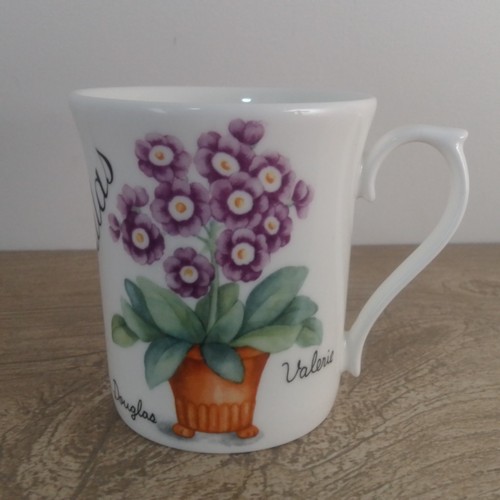 Crown trent auriculas mug - trent,