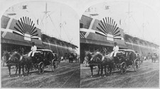 The A Horse Carriage Passing