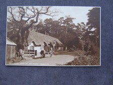 Old Postcard of The Cat and