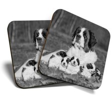 2 x Coasters (BW) - St Bernard