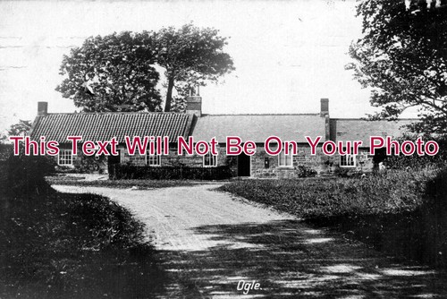 597 ogle northumberland - no, ogle,