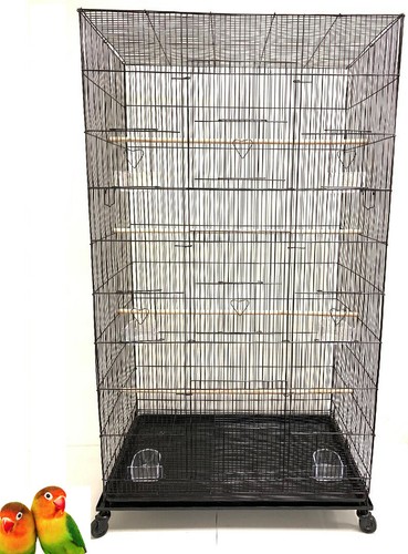 Large tight bar canaries - bar,