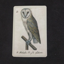 Barn Owl Sticker 2.18" x 1.5"
