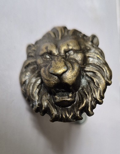 Set small lion head - set,